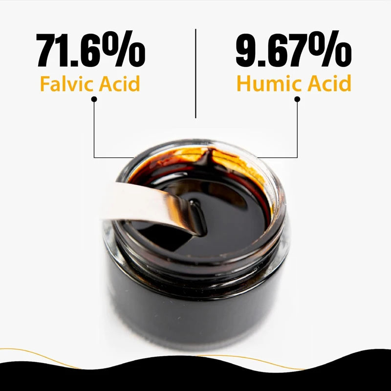 Resina di Shilajit Puro dell'H - Shilajit Resin Pure recensione e prezzo