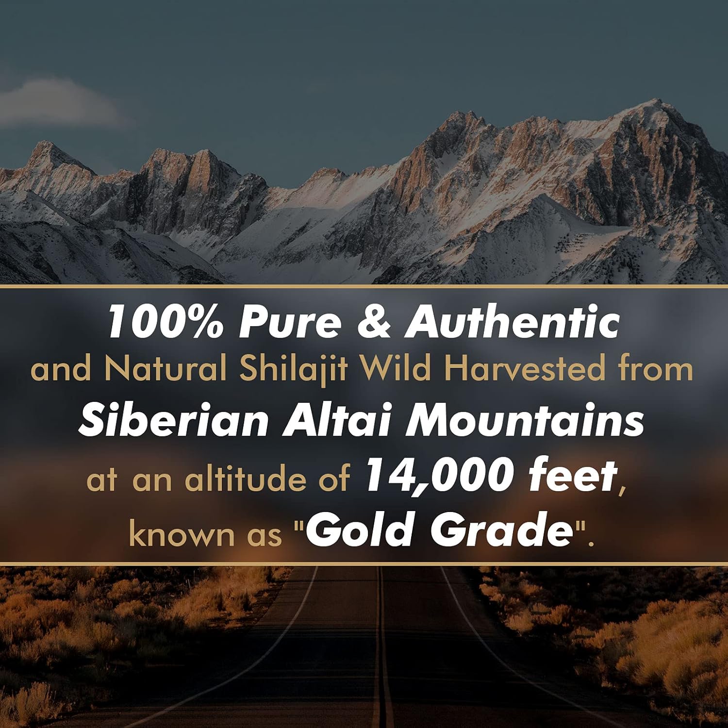 Resina di Shilajit Pura Origin - Shilajit Resin Pure recensione e prezzo