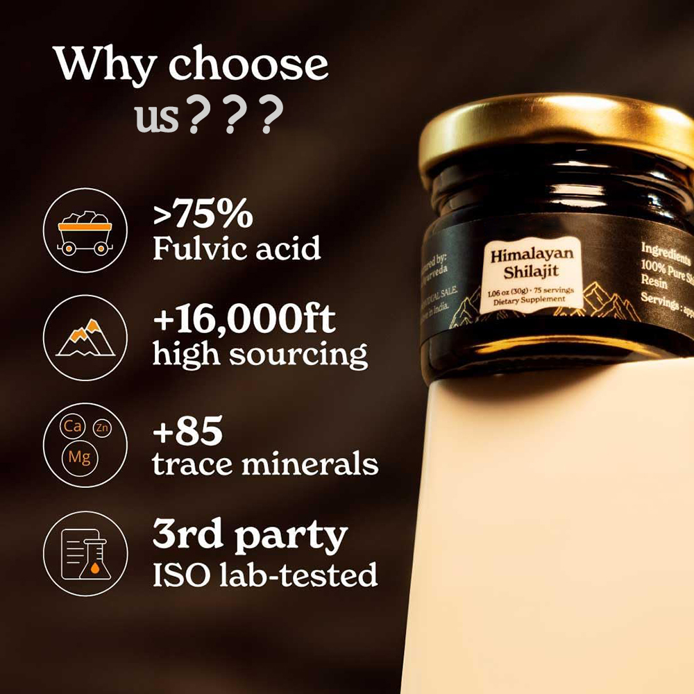 Shilajit puro dell'Himalaya, r - Shilajit Resin Pure recensione e prezzo